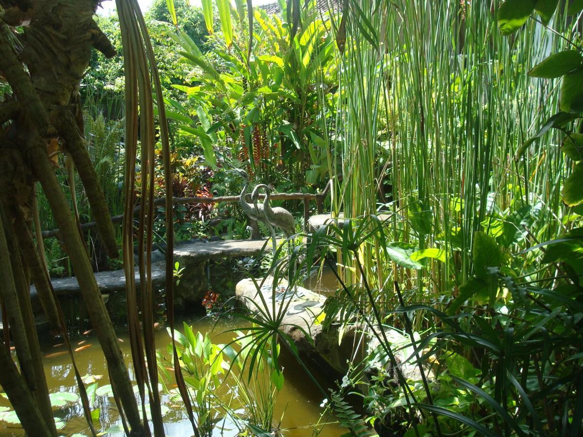 Villa Arjuna Seraya Exteriér fotografie